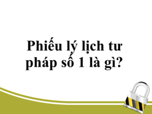 phieu-ly-lich-tu-phap-so-1-la-gi-1