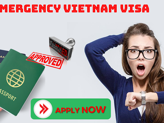 Vietnam Visa: Urgent, Emergency, and Last Minute Options; بطاقة فيزا فيتنام عاجلة - خيارات التقدم بطلبات الطوارئ واللحظة الأخيرة متاحة