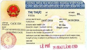 Navigating Vietnam Travel Your Guide to the Official Vietnam E-visa Website for Kiwis